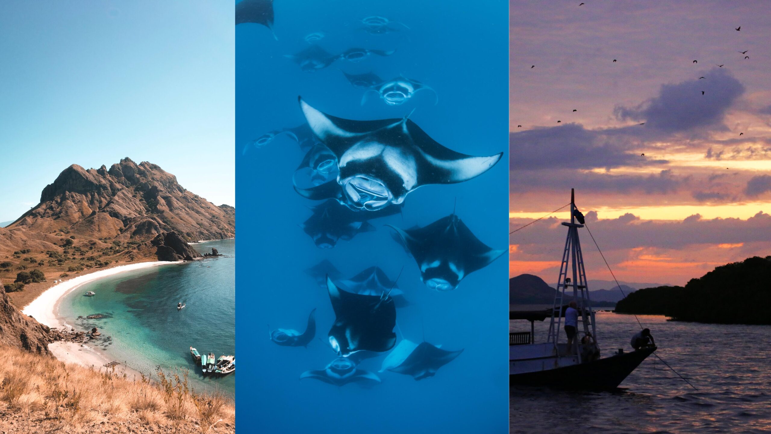 whatsapp image 2025 07 31 at 21.57.09