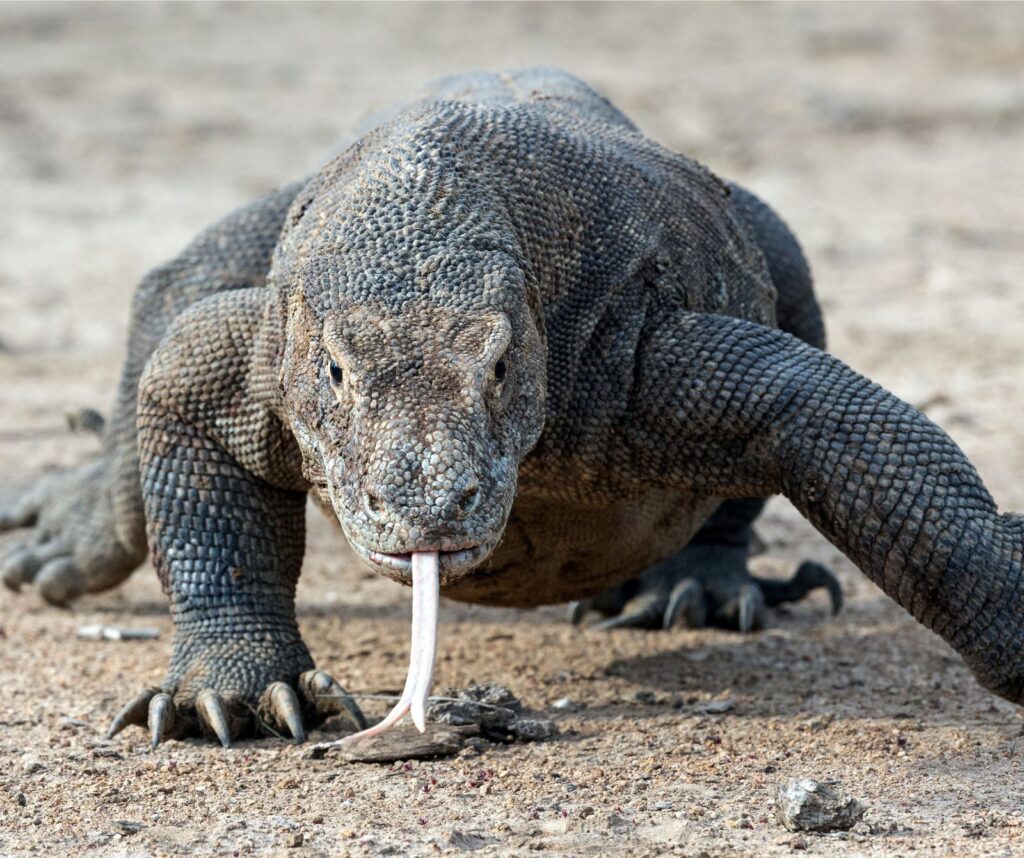 whatsapp image 2025 08 01 at 00.28.21