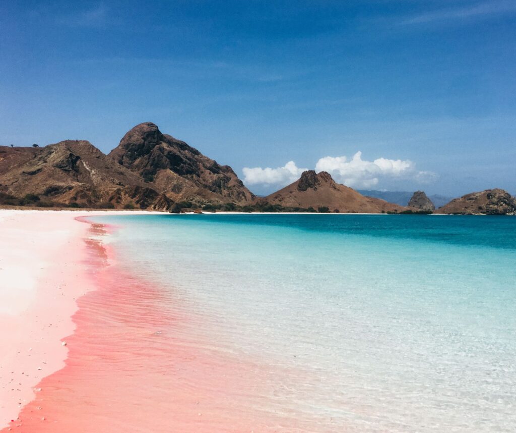 whatsapp image 2025 08 01 at 00.28.30