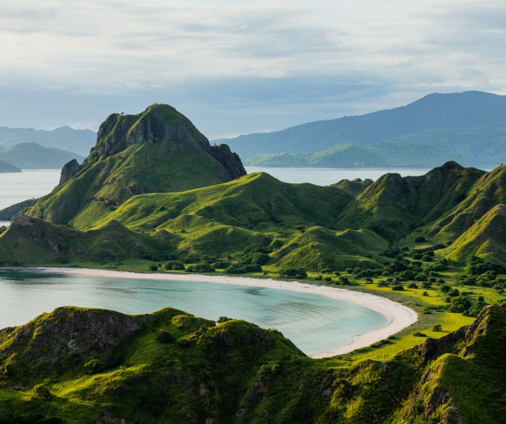 whatsapp image 2025 08 01 at 00.28.31