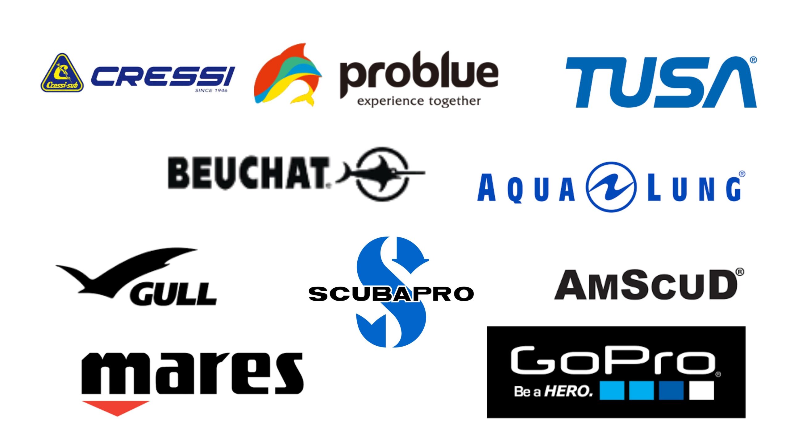 whatsapp image 2025 08 01 at 22.03.14