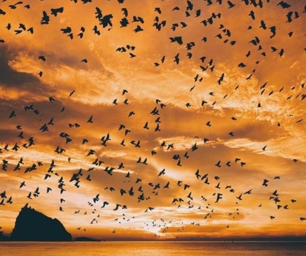 whatsapp image 2025 08 02 at 22.16.40